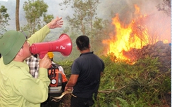 Chữa cháy rừng, một người tử vong ở Bắc Giang