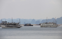 Cắt giảm số tàu du lịch tại vịnh Hạ Long do quá tải