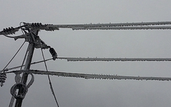 Sơn La: Băng tuyết làm gãy xà hàng loạt đường dây điện