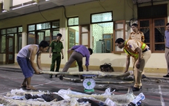 CSGT Bắc Giang bắt giữ 6 tạ gỗ sưa đỏ trong đêm