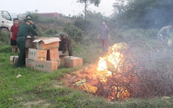 Quảng Ninh: Bắt hơn 20 nghìn quả trứng gà "bẩn" đang đi tiêu thụ