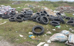 Video: Xe khách Quảng Ninh lén lút đổ rác thải ra ven QL279