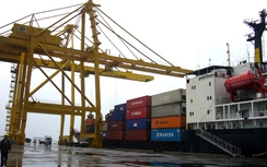 Sản lượng hàng hóa qua Cảng Đà Nẵng tăng 11%