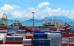 Giữ đà tăng trưởng nhanh hàng container qua cảng Đà Nẵng