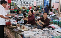 Cập nhật danh sách chợ "hải sản sạch" Đà Nẵng