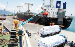 Định vị cụm cảng biển Quy Nhơn, phát triển chuỗi giá trị Logistics