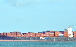 Đình chỉ hoa tiêu dẫn tàu container Hồng Kông mắc cạn