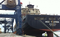 TPHCM lần đầu đón tàu container lớn nhất vào cảng SPCT