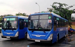 TP.HCM thay 55 xe mới trên 3 tuyến buýt