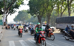 Di dời 123 cây xanh mở rộng đường vào sân bay Tân Sơn Nhất