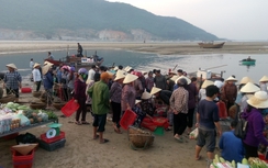 Hà Tĩnh: Nhộn nhịp cảng cá Thạch Kim