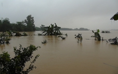 Thủy điện Hố Hô lại xả lũ, Hương Khê ngập lụt