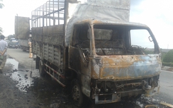 Tiền Giang: Xe tải chở bật lửa gas cháy rụi trên quốc lộ