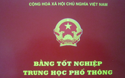 Thanh Hóa: Kỷ luật Chánh Thanh tra huyện