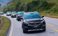 Bảng giá xe tháng 1/2018 của Kia, Mazda, Peugeot