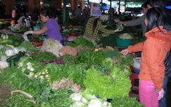 Rau quả Trung Quốc "đội lốt" hàng Việt ngập chợ, siêu thị