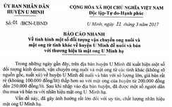 Kịp thời xử lý nghiêm vi phạm thương hiệu mật ong rừng U Minh