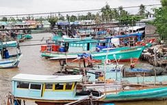 Bạc Liêu, Cà Mau sẵn sàng phương án di dân tránh bão Tembin