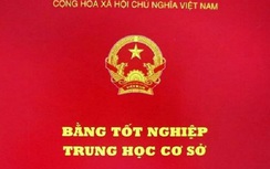 Bí thư xã bị cách chức... vì dùng bằng của người khác