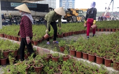 Xóa vườn hoa “mọc” giữa nút giao thông hiện đại nhất Hà Nội