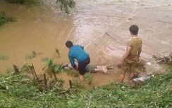 Liên tiếp nạn nhân thiệt mạng khi đi qua suối, ngầm tràn