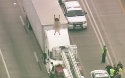 Clip cô gái khỏa thân nhảy lên nóc xe tải đại náo cao tốc