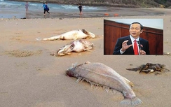 Dân mời Phó Chủ tịch Hà Tĩnh "xơi" cá, tắm biển Vũng Áng