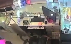Video: Khỉ "ranh mãnh" vào cửa hàng trang sức trộm tiền