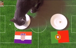 Mèo Cass dự đoán kết quả trận Bồ Đào Nha gặp Croatia