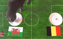 Xứ Wales - Bỉ: Mèo Cass dự đoán thế nào?