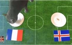 Pháp - Iceland: Mèo Cass dự đoán thế nào?