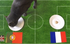 Chung kết EURO 2016 Pháp-Bồ Đào Nha: Mèo Cass dự đoán thế nào?