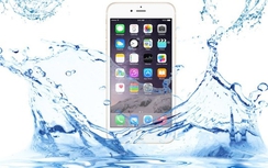 Apple từ chối bảo hành nếu iPhone 7 bị hỏng vì rơi xuống nước