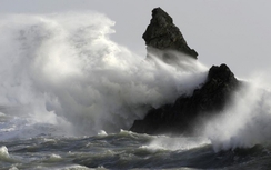 Tin mới nhất về bão Megi: Biển động dữ dội, gió giật cấp 17