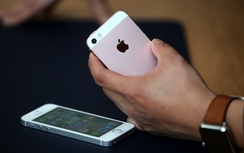 Apple sẽ làm gì với "hậu duệ" của iPhone SE?