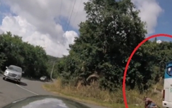 Video:Xe khách ôm cua đâm văng người đi xe máy trên đèo Đà Lạt