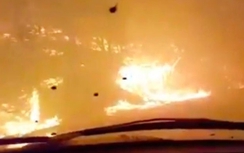 Video:Khoảnh khắc tài xế lao ô tô xuyên qua khu rừng cháy thoát thân