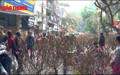 Hà Nội: Tấp nập chợ hoa mỗi năm chỉ họp một lần