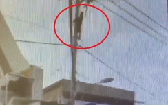 Video:Thanh niên nghi "ngáo đá" làm xiếc trên cột điện náo loạn Sài Gòn