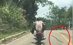 Video: Sốc cảnh rắn độc phi thân đớp người đàn ông đi xe máy