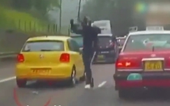 Video: Phượt thủ chặn hàng loạt ôtô trên cao tốc giải cứu mèo con