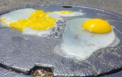 Hà Nội nóng kỷ lục, mì và trứng được nấu chín bằng ánh nắng