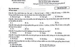 Đề thi, hướng dẫn giải môn Sinh học thi THPT Quốc gia 2017