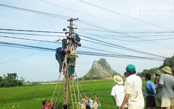 Leo cột sửa điện, Phó giám đốc bị giật tử vong