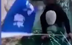 Video: Cầu kính trên núi "nứt toác", du khách hoảng loạn
