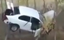 Video: Ôtô mắc lủng lẳng trên cành cây sau cú né xe ngược chiều