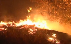 Video: Bão lửa điên cuồng "nuốt chửng" California như ngày tận thế