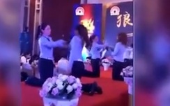 Video:Các nhân viên nữ quỳ, tát vào mặt nhau mừng... thành lập công ty