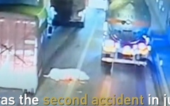 Video: Lợn nhảy khỏi xe tải khiến ôtô đâm liên hoàn trong đường hầm