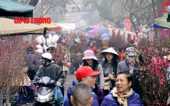 Video: Chợ hoa Tết hơn 100 năm tuổi khiến người Hà Nội mê mẩn